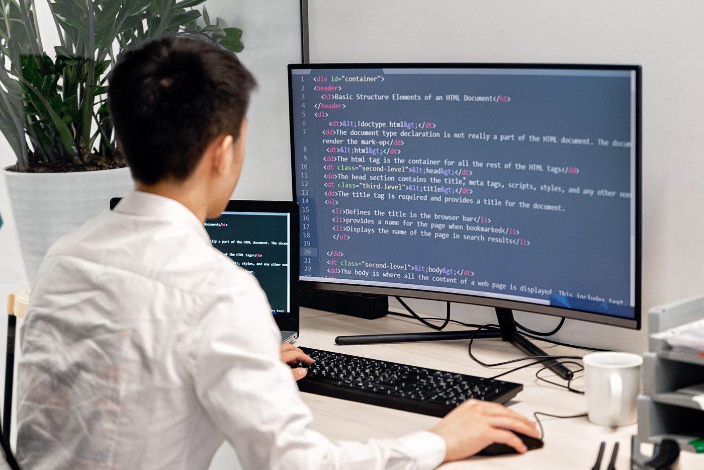 Web & Digital Services